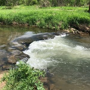 Meet your Posher, Kathy